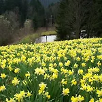 Avec Terrasse, Wifi Et Garage Moto A - Fr-1-589-133 Дом отдыха Жерарме