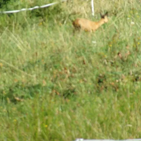 Avec Terrasse, Wifi Et Garage Moto A - Fr-1-589-133 * Gerardmer