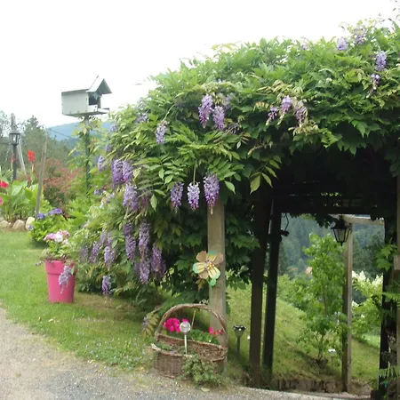 Avec Terrasse, Wifi Et Garage Moto A - Fr-1-589-133 * Gerardmer