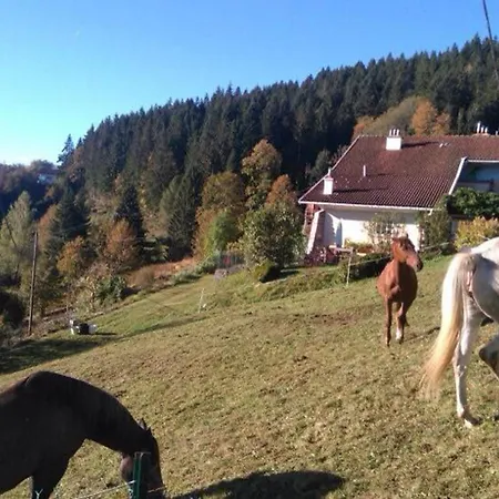 Сasa de vacaciones Gérardmer, 2 Pièces, 2 Personnes - Fr-1-589-133