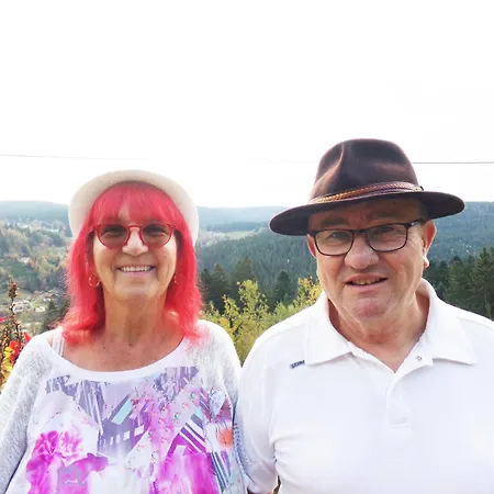 Avec Terrasse, Wifi Et Garage Moto A - Fr-1-589-133 Holiday home Gerardmer