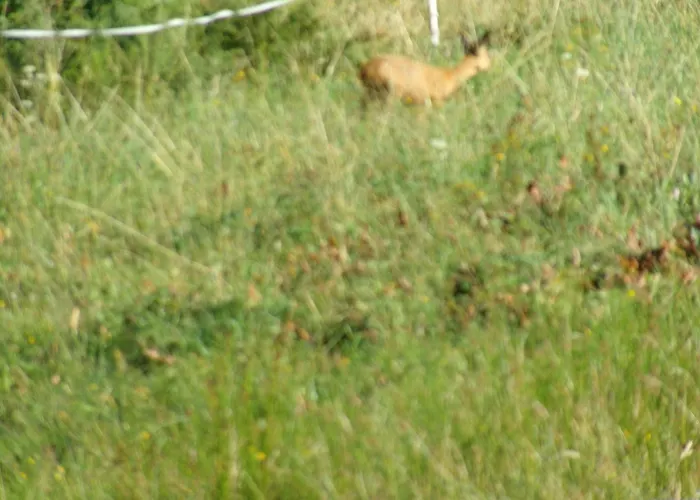 Avec Terrasse, Wifi Et Garage Moto A - Fr-1-589-133 * Gérardmer
