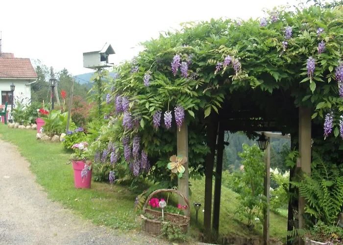 Avec Terrasse, Wifi Et Garage Moto A - Fr-1-589-133 * Gérardmer