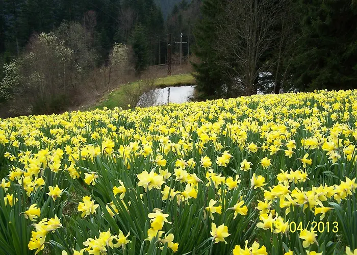 Avec Terrasse, Wifi Et Garage Moto A - Fr-1-589-133 Prázdninový dům Gérardmer