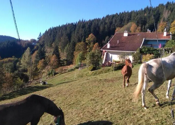 بيت للعطل Avec Terrasse, Wifi Et Garage Moto A - Fr-1-589-133